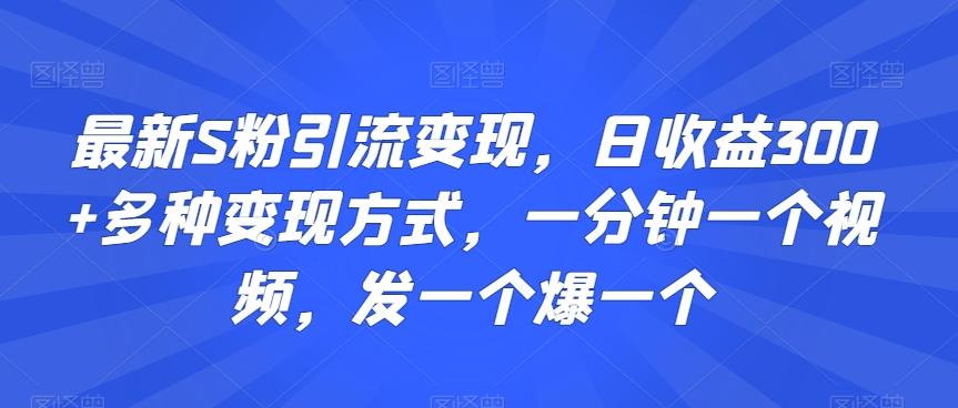 最新S粉引流变现，日收益300+多种变现方式，一分钟一个视频，发一个爆一个【揭秘】-chywc
