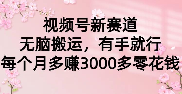 (9278期)视频号新赛道，无脑搬运，有手就行，每个月多赚3000多零花钱-chywc