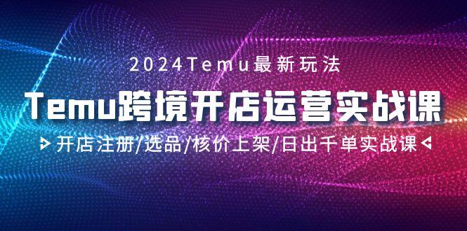 2024Temu跨境开店运营实战课，开店注册/选品/核价上架/日出千单实战课-chywc