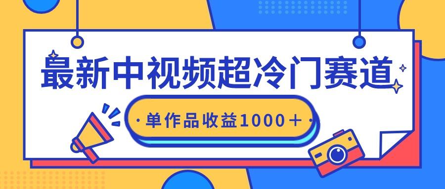 (9275期)最新中视频超冷门赛道，轻松过原创，单条视频收益1000＋-chywc