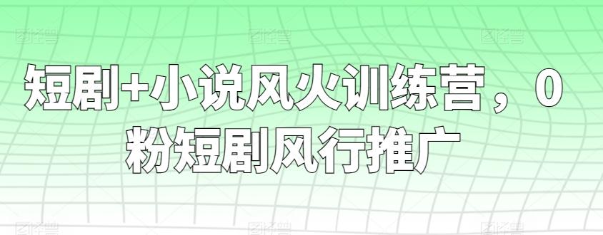 短剧+小说风火训练营，0粉短剧风行推广-chywc