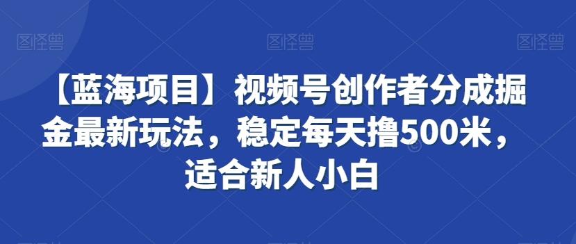 【蓝海项目】视频号创作者分成掘金最新玩法，稳定每天撸500米，适合新人小白【揭秘】-chywc
