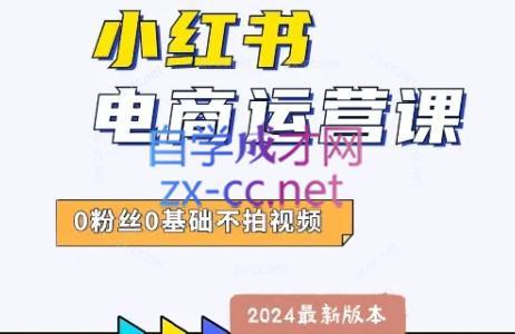 达哥·小红书电商运营(2024版)-chywc