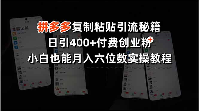 拼多多复制粘贴引流秘籍，日引400+付费创业粉，小白也能月入六位数实操…-chywc