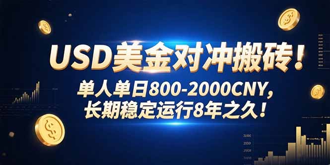 USD美金对冲搬砖!单人单日800-2000CNY，长期稳定运行8年之久!-chywc