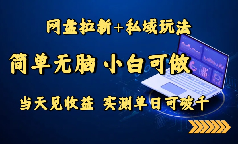 网盘拉新+私域玩法，简单无脑，小白可做，当天见收益，实测单日可破千-chywc