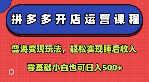拼多多开店运营课程：蓝海变现玩法，轻松实现睡后收入，零基础小白也可日入5张-chywc