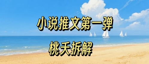小说推文项目操作全流程第一弹，0粉就能做，门槛低非常适合新手-chywc
