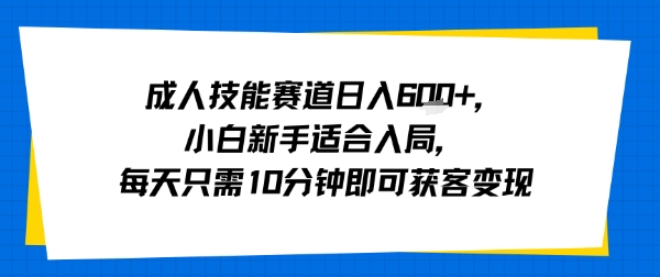 成人技能赛道日入多张，小白新手适合入局，每天只需10分钟即可获客变现-chywc