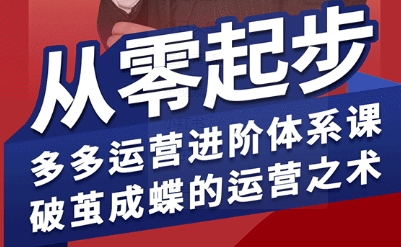 拼多多运营进阶系统课，从零起步，多多运营进阶体系课，破茧成蝶的运营之术-chywc