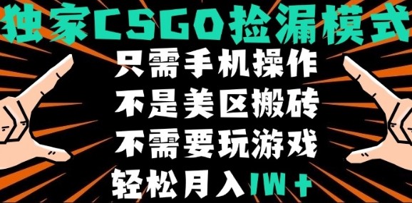 CSGO自动捡漏项目，最新独家玩法，不是美区搬砖，不需要了解和玩游戏，新手小白轻松月入1W+【揭秘】-chywc