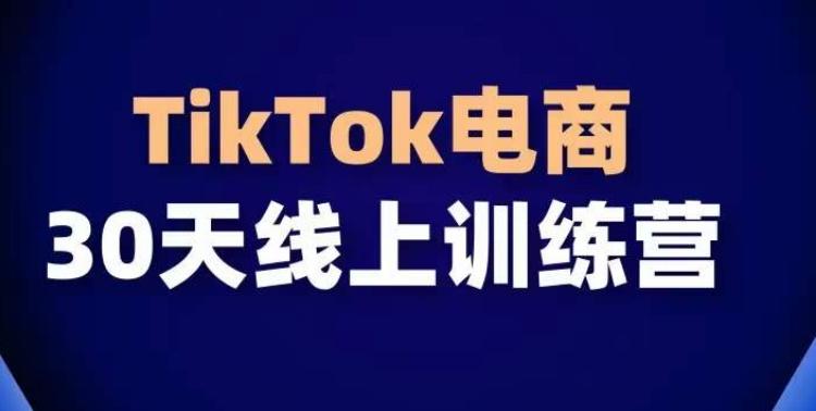 TikTok电商带货30天线上课，不可错过的全球流量洼地！-chywc