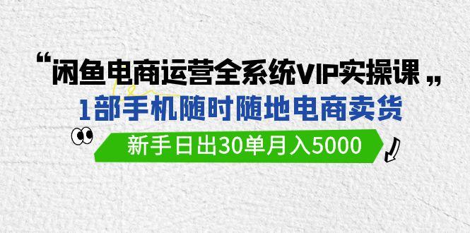 (9547期)闲鱼电商运营全系统VIP实战课，1部手机随时随地卖货，新手日出30单月入5000-chywc