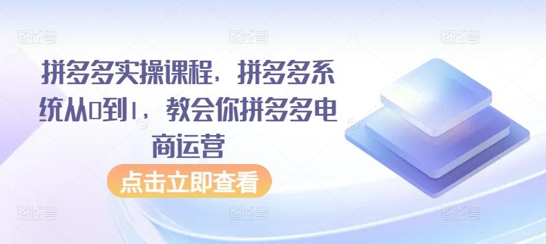 拼多多实操课程，拼多多系统从0到1，教会你拼多多电商运营-chywc