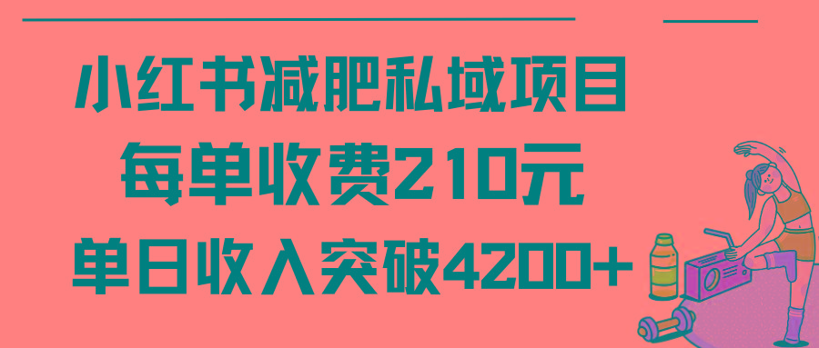 (9466期)小红书减肥私域项目每单收费210元单日成交20单，最高日入4200+-chywc
