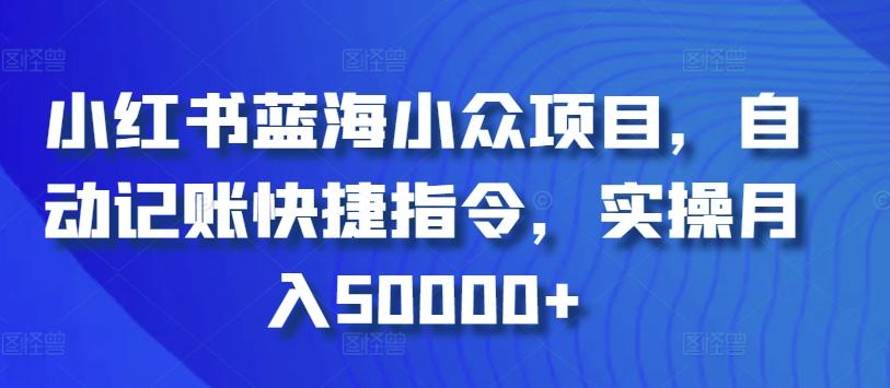 小红书蓝海小众项目，自动记账快捷指令，实操月入50000+【揭秘】-chywc