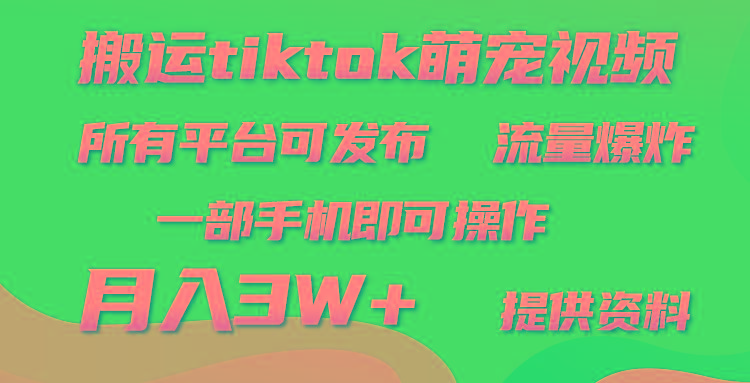 (9618期)搬运Tiktok萌宠类视频，一部手机即可。所有短视频平台均可操作，月入3W+-chywc