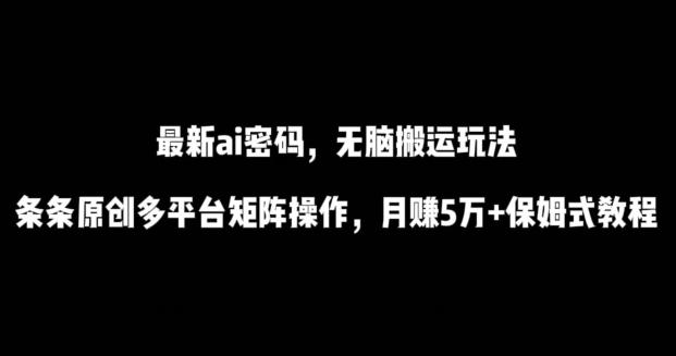 最新ai流量密码，傻瓜式搬运玩法，条条原创，多平台矩阵操作，月赚5万+保姆式教程【揭秘】-chywc