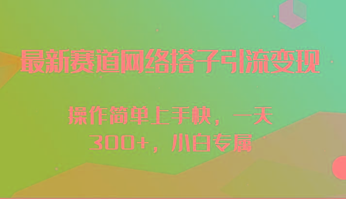 最新赛道网络搭子引流变现!!操作简单上手快，一天300+，小白专属-chywc
