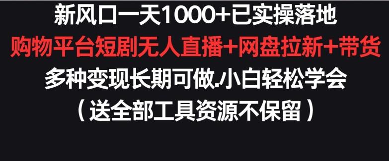 新风口一天1000+已实操落地购物平台短剧无人直播+网盘拉新+带货多种变现长期可做【揭秘】-chywc
