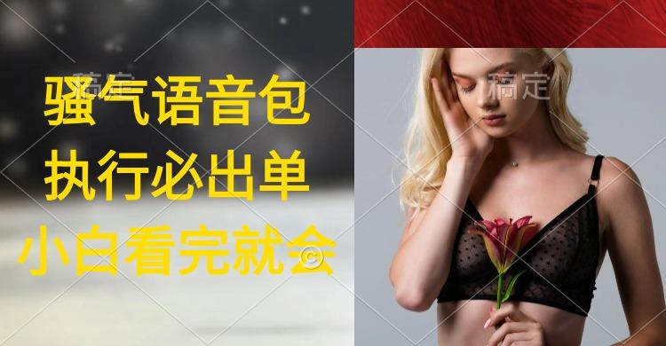 (9589期)执行就出单，日入2000+，超火骚气语音包，小白看完课程就能马上实操-chywc