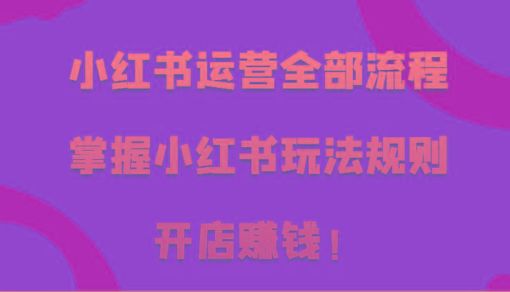 小红书运营全部流程，掌握小红书玩法规则，开店赚钱！-chywc