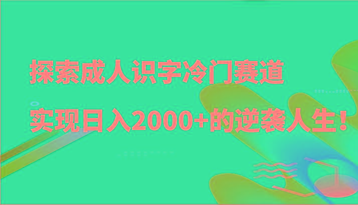 探索成人识字冷门赛道，实现日入2000+的逆袭人生！-chywc
