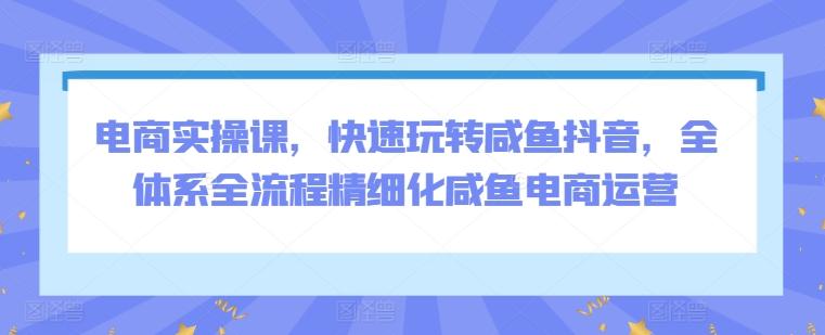 电商实操课，快速玩转咸鱼抖音，全体系全流程精细化咸鱼电商运营-chywc
