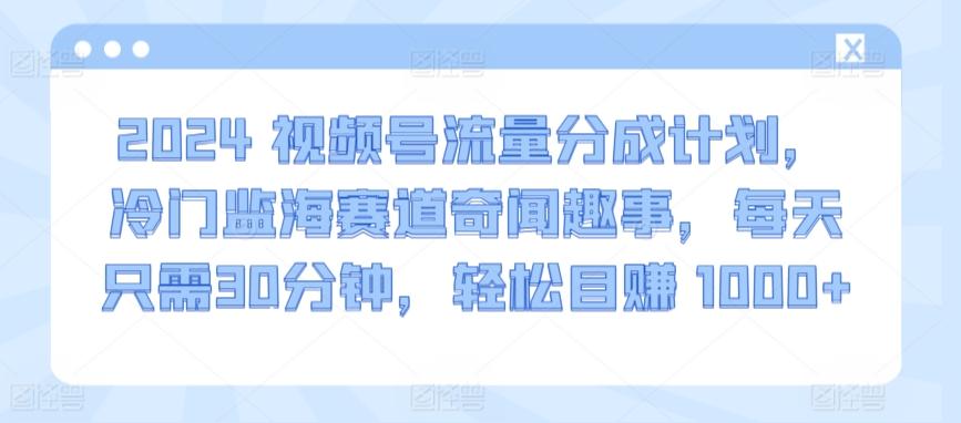 2024视频号流量分成计划，冷门监海赛道奇闻趣事，每天只需30分钟，轻松目赚 1000+【揭秘】-chywc