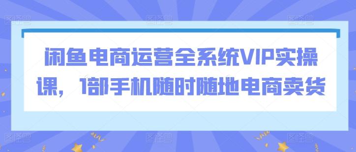闲鱼电商运营全系统VIP实操课，1部手机随时随地电商卖货-chywc