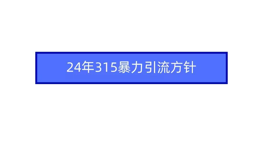 (9398期)2024年315暴力引流方针-chywc