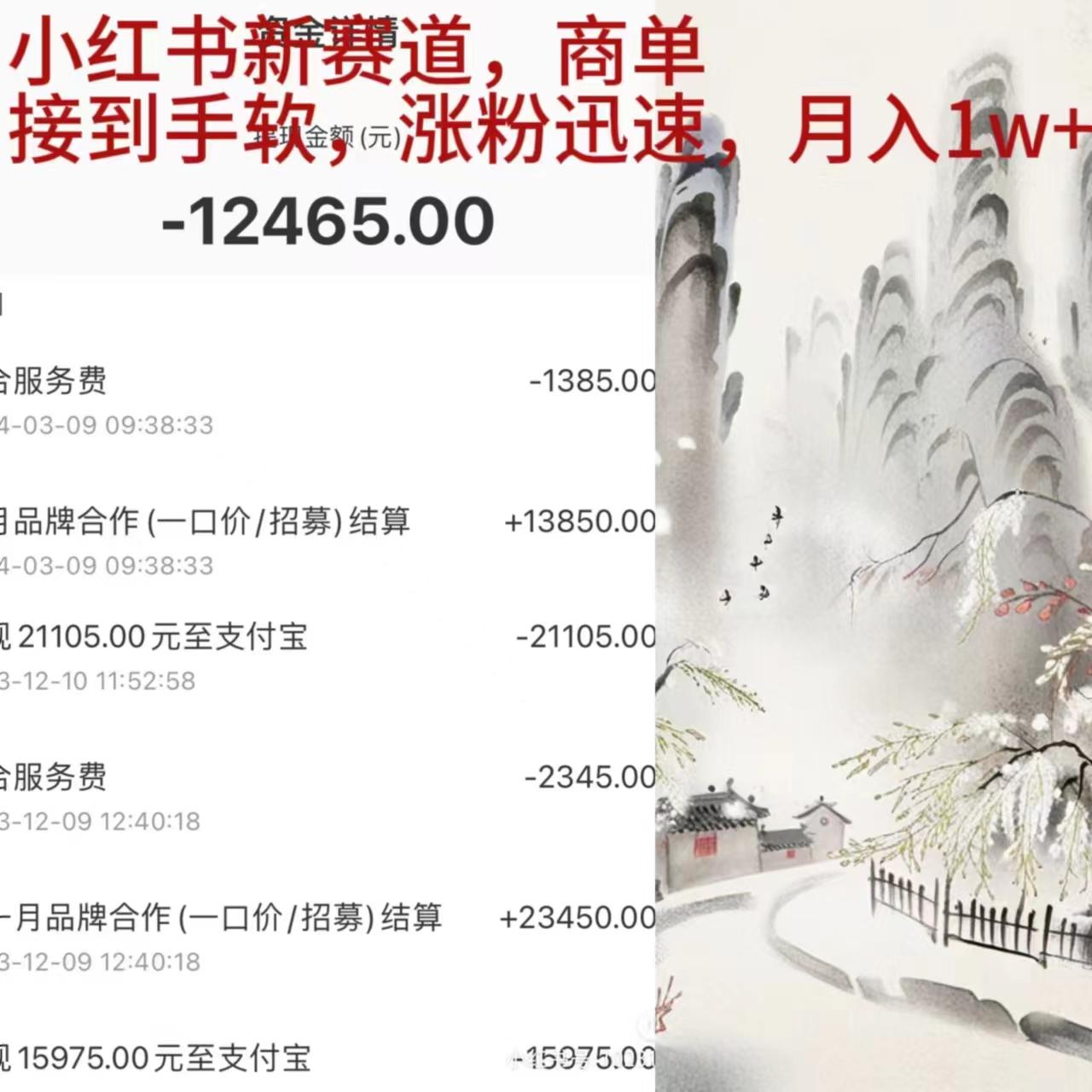 (9476期)小红书新赛道，商单接到手软，涨粉迅速，月入1w+-chywc