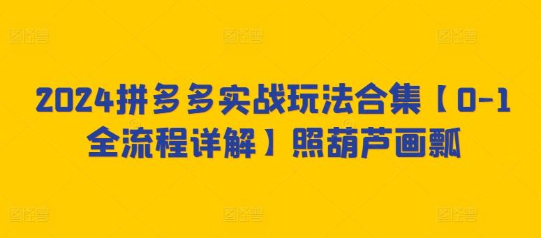2024拼多多实战玩法合集【0-1全流程详解】照葫芦画瓢-chywc