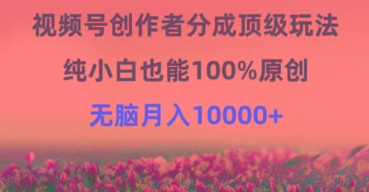 (9608期)视频号创作者分成顶级玩法，纯小白也能100%原创，无脑月入10000+-chywc