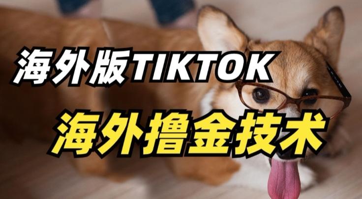 抖音海外版tiktok撸金技术，这个风口行业，赚钱真的不难【揭秘】-chywc
