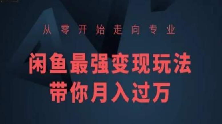 从零开始走向专业，闲鱼最强变现玩法带你月入过万-chywc