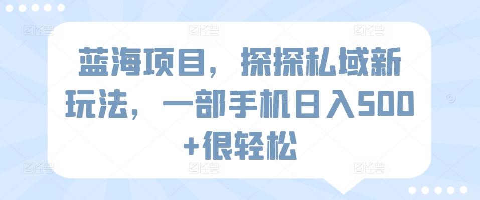 蓝海项目，探探私域新玩法，一部手机日入500+很轻松【揭秘】-chywc