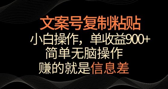 文案号掘金，简单复制粘贴，小白操作，单作品收益900+【揭秘】-chywc