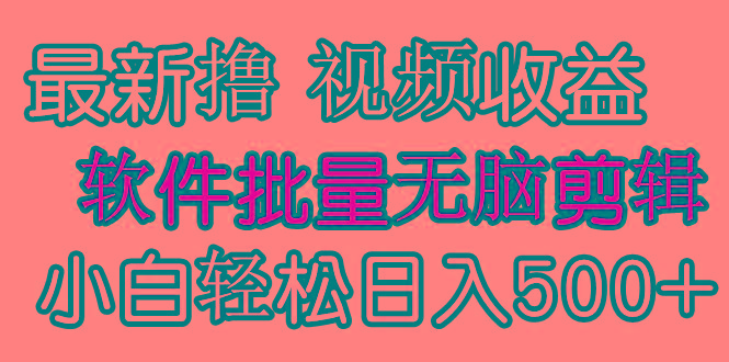 (9569期)发视频撸收益，软件无脑批量剪辑，第一天发第二天就有钱-chywc