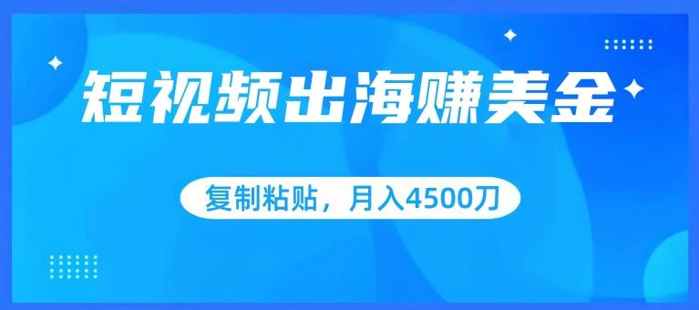短视频出海赚美金，复制粘贴批量操作，小白轻松掌握，月入4500美刀【揭秘】-chywc