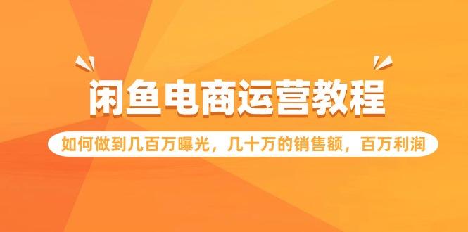 (9560期)闲鱼电商运营教程：如何做到几百万曝光，几十万的销售额，百万利润-chywc