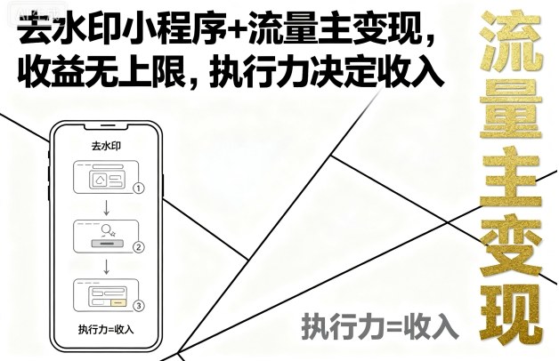 去水印小程序+流量主变现，收益无上限，执行力决定收入-chywc