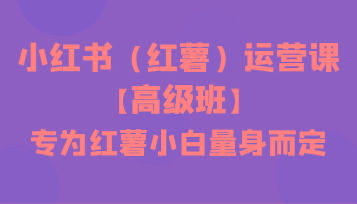 小红书(红薯)运营课【高级班】，专为红薯小白量身而定(42节课)-chywc