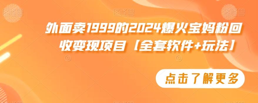 外面卖1999的2024爆火宝妈粉回收变现项目【全套软件+玩法】【揭秘】-chywc