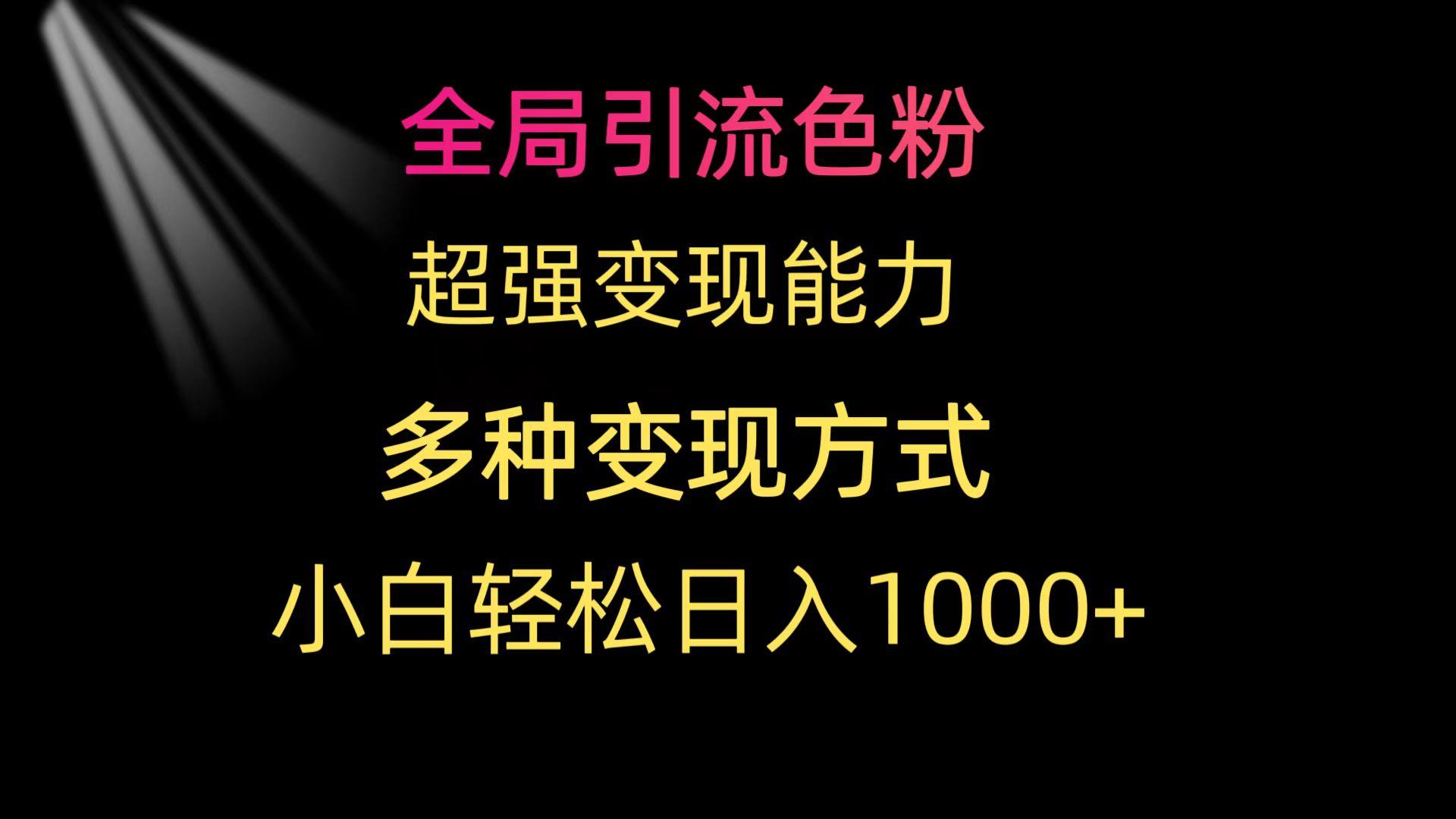 (9680期)全局引流色粉 超强变现能力 多种变现方式 小白轻松日入1000+-chywc