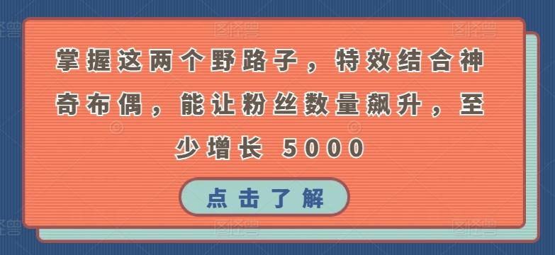 掌握这两个野路子，特效结合神奇布偶，能让粉丝数量飙升，至少增长 5000【揭秘】-chywc