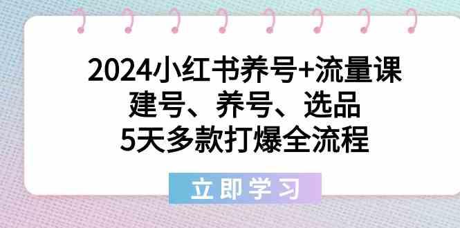 2024小红书养号+流量课：建号、养号、选品，5天多款打爆全流程-chywc