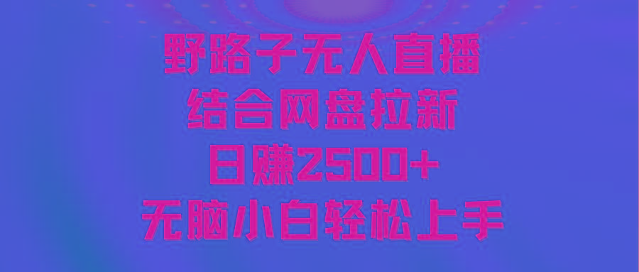 无人直播野路子结合网盘拉新，日赚2500+多平台变现，小白无脑轻松上手操作-chywc