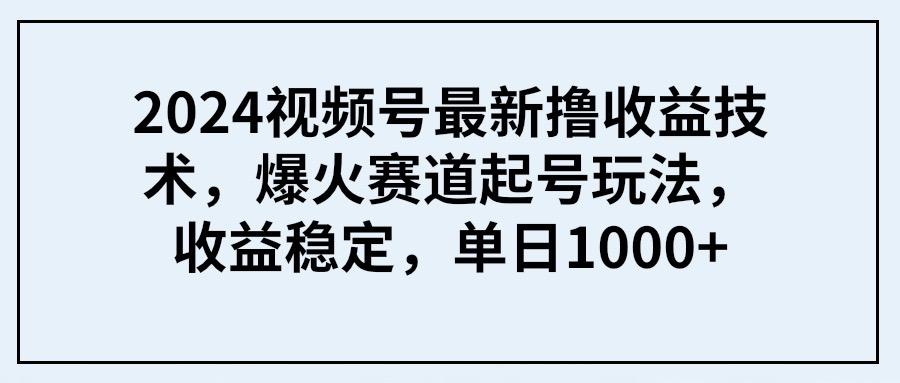 (9651期) 2024视频号最新撸收益技术，爆火赛道起号玩法，收益稳定，单日1000+-chywc