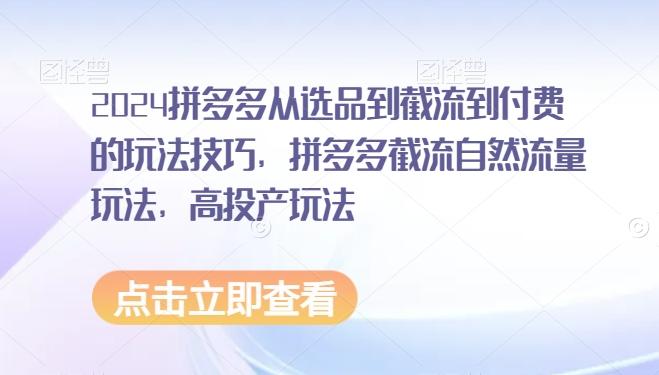 2024拼多多从选品到截流到付费的玩法技巧，拼多多截流自然流量玩法，高投产玩法-chywc